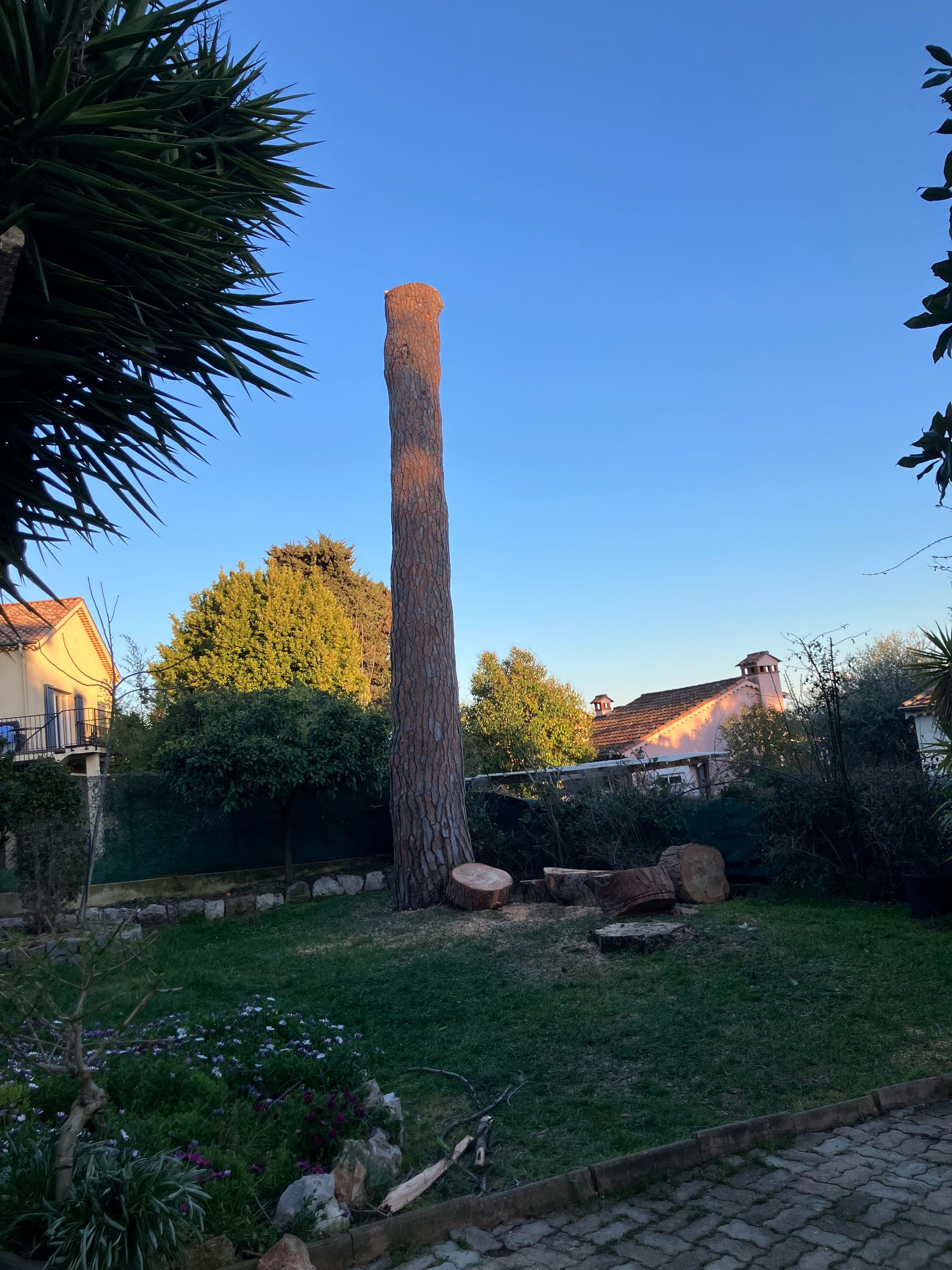 Deux gros troncs d'arbres tombés sur l'herbe dans un parc, une personne accroupie .