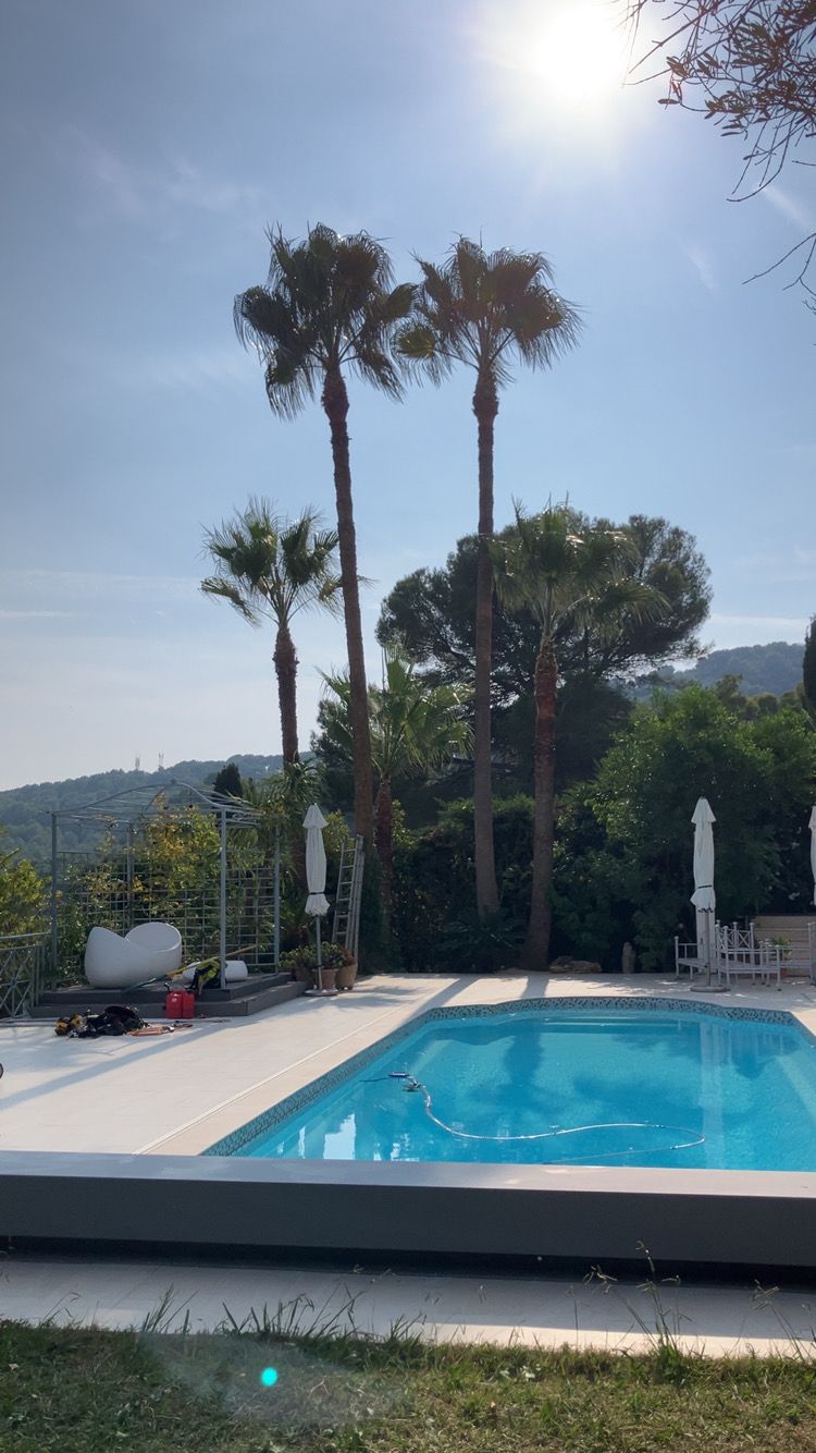Piscine dans le jardin avec palmiers et chaises longues sous un ciel partiellement nuageux
