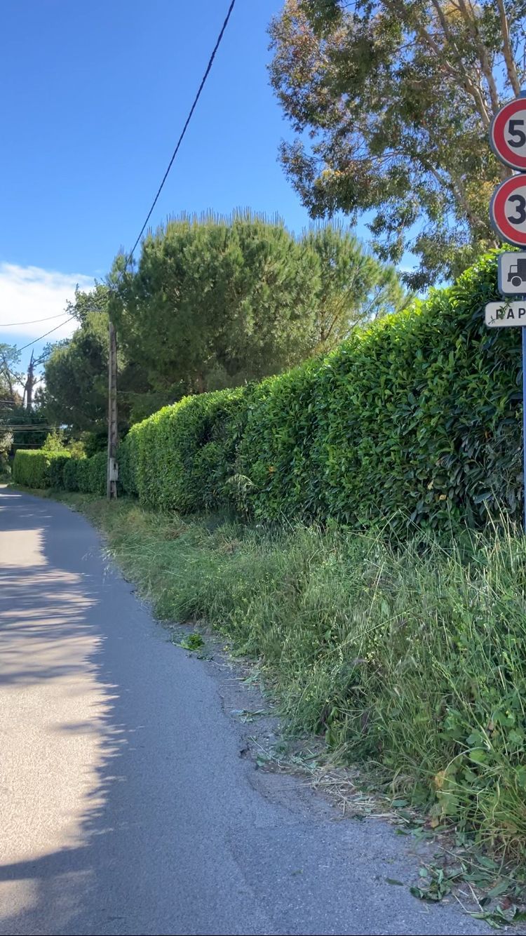 Route étroite en gravier avec panneaux de limitation de vitesse en bord de route et haies vertes denses sur la droite.