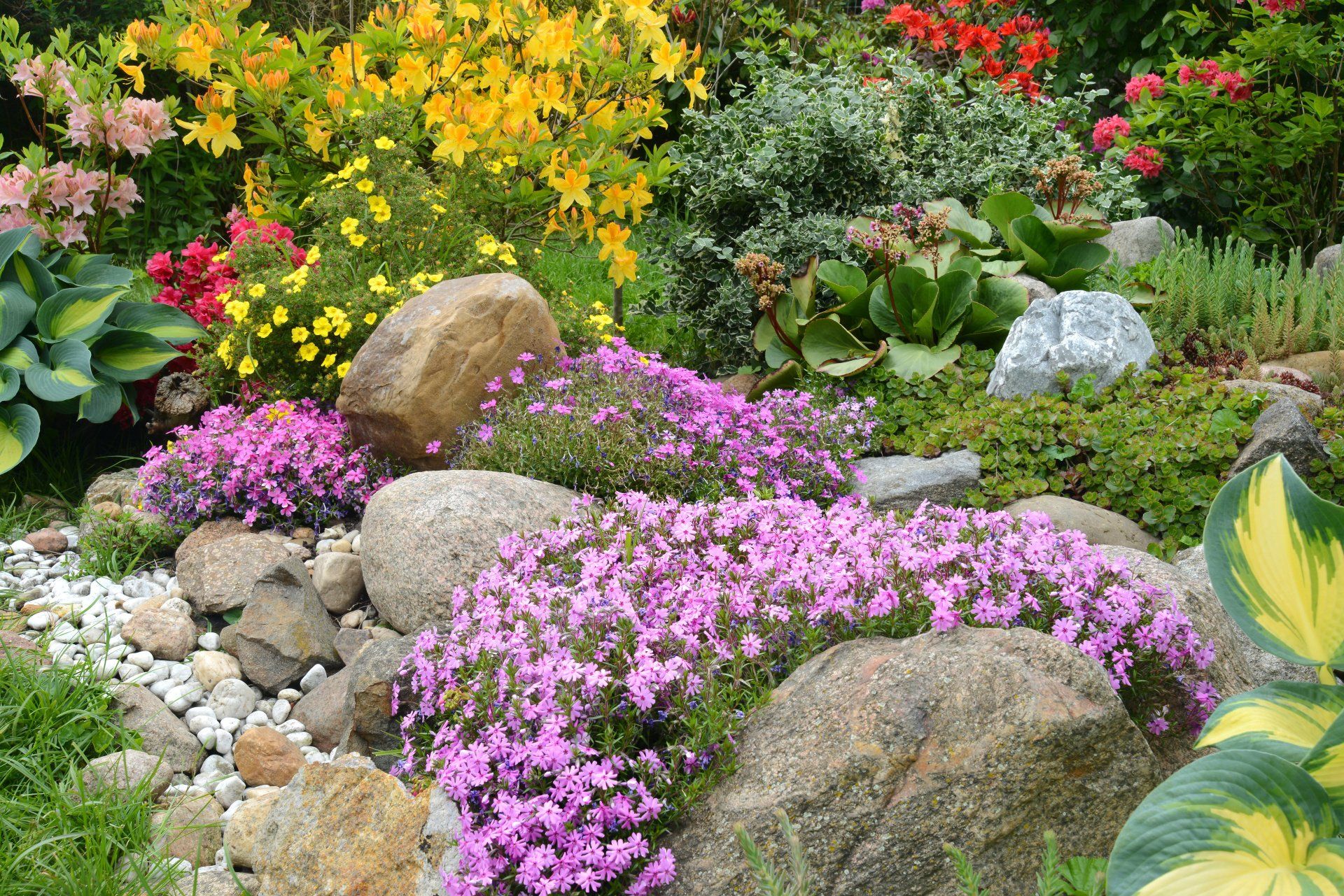 Massif végétal avec des fleurs jaunes et roses