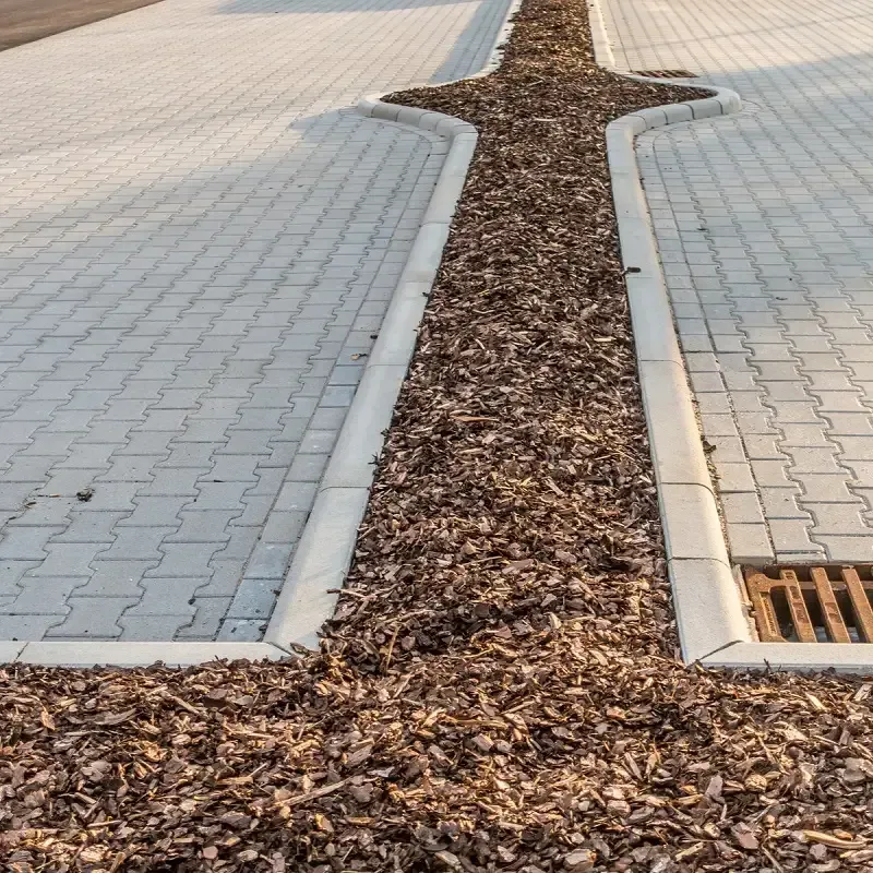 Gepflegte Außenanlage