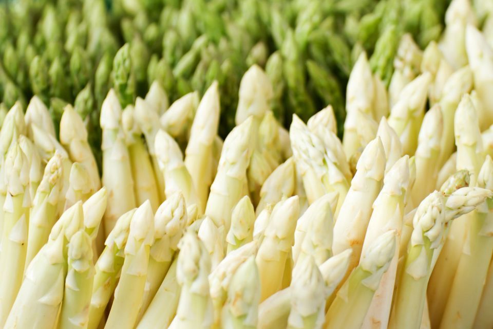 Weißer und grüner Spargel