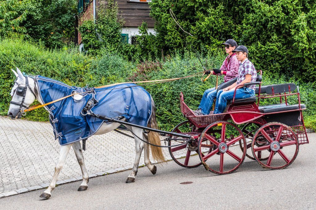 FAHRSCHULE
CLEVER & smart
by Karisa