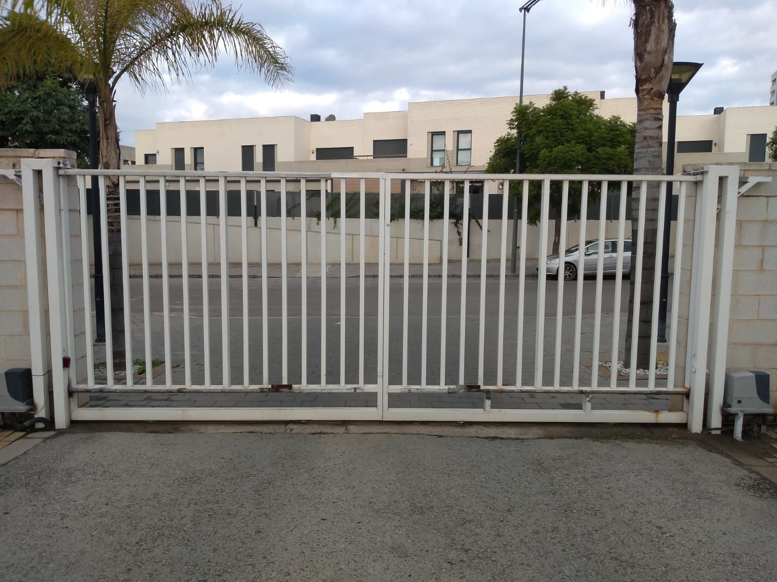 Una puerta blanca con una palmera al fondo.