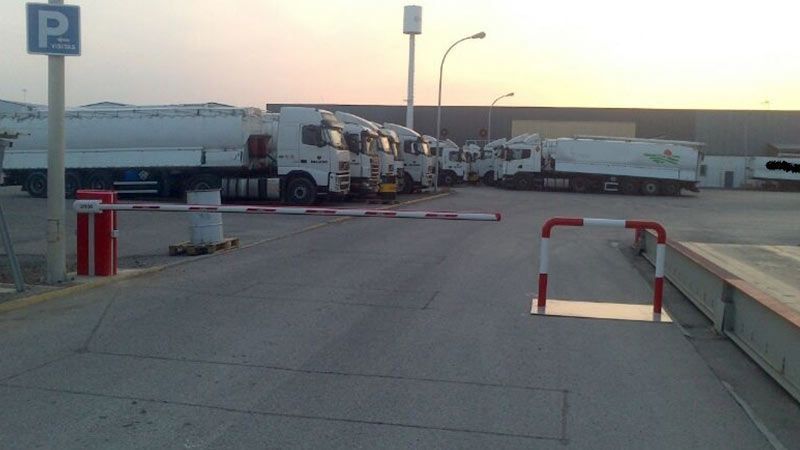 Hay muchos camiones estacionados en un estacionamiento