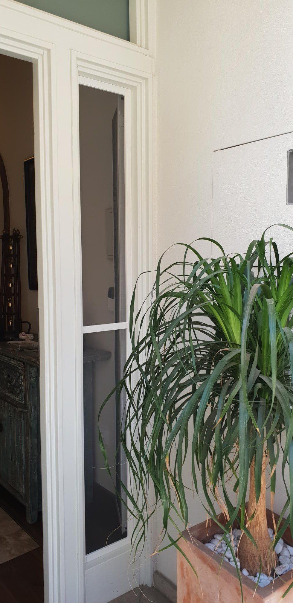 Una planta en maceta está sentada frente a una puerta de vidrio.