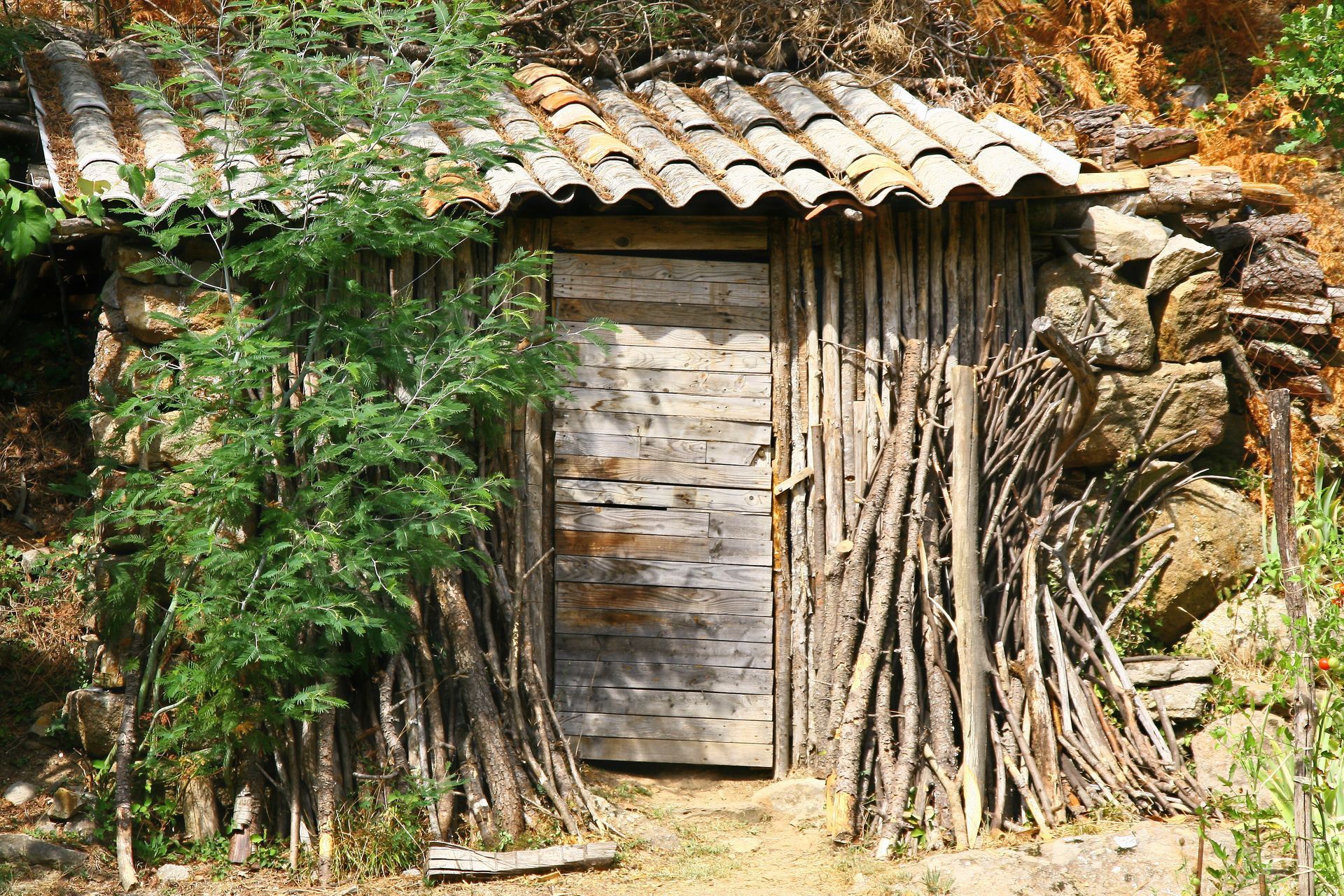 Cabane en bois et en tôle