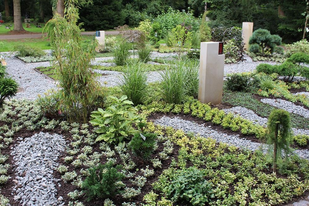 Ein Garten mit vielen Pflanzen und Kies