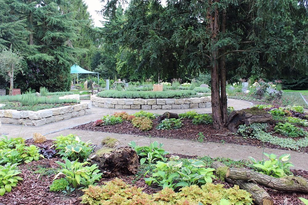 Ein Garten mit vielen Pflanzen und Bäumen