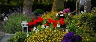 Ein Friedhof voller Blumen und einer Laterne.