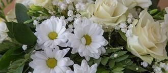 Eine Nahaufnahme eines Straußes weißer Blumen mit Schleierkraut.