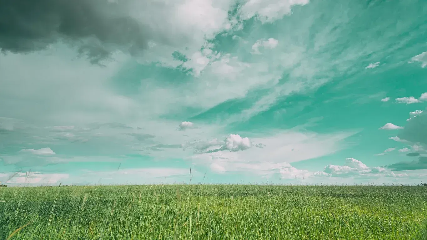 Un campo verde con un cielo azul y nubes al fondo.