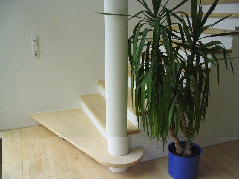 Moderne Treppe aus Holz