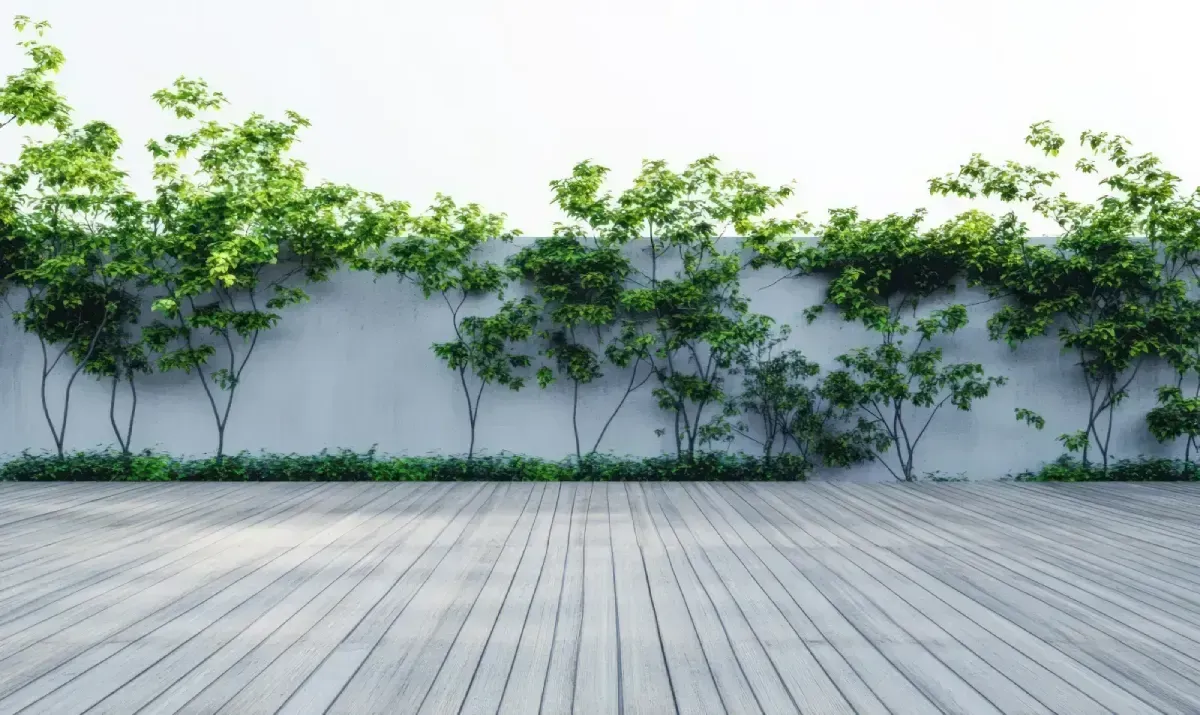 Deck de madera frente a un muro de hormigón cubierto de follaje verde y pequeños árboles.