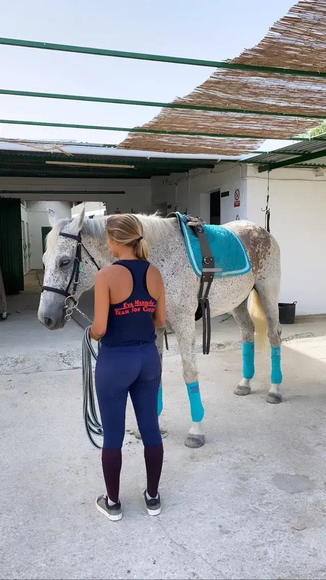 Primer plano de un caballo marrón con brida, con un jinete borroso y otro caballo en una pista de equitación al aire libre.
