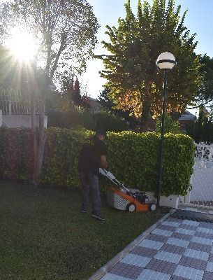 Un hombre está cortando un césped verde y exuberante con una cortadora de césped Stihl.