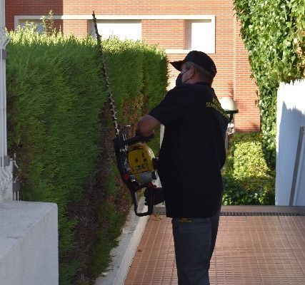 Un hombre está recortando un seto con una cortadora de setos.