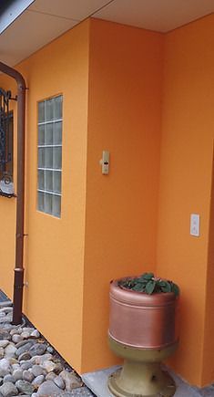 An der Seite eines Gebäudes neben einem Fenster steht eine Topfpflanze. Maler Lüscher GmbH