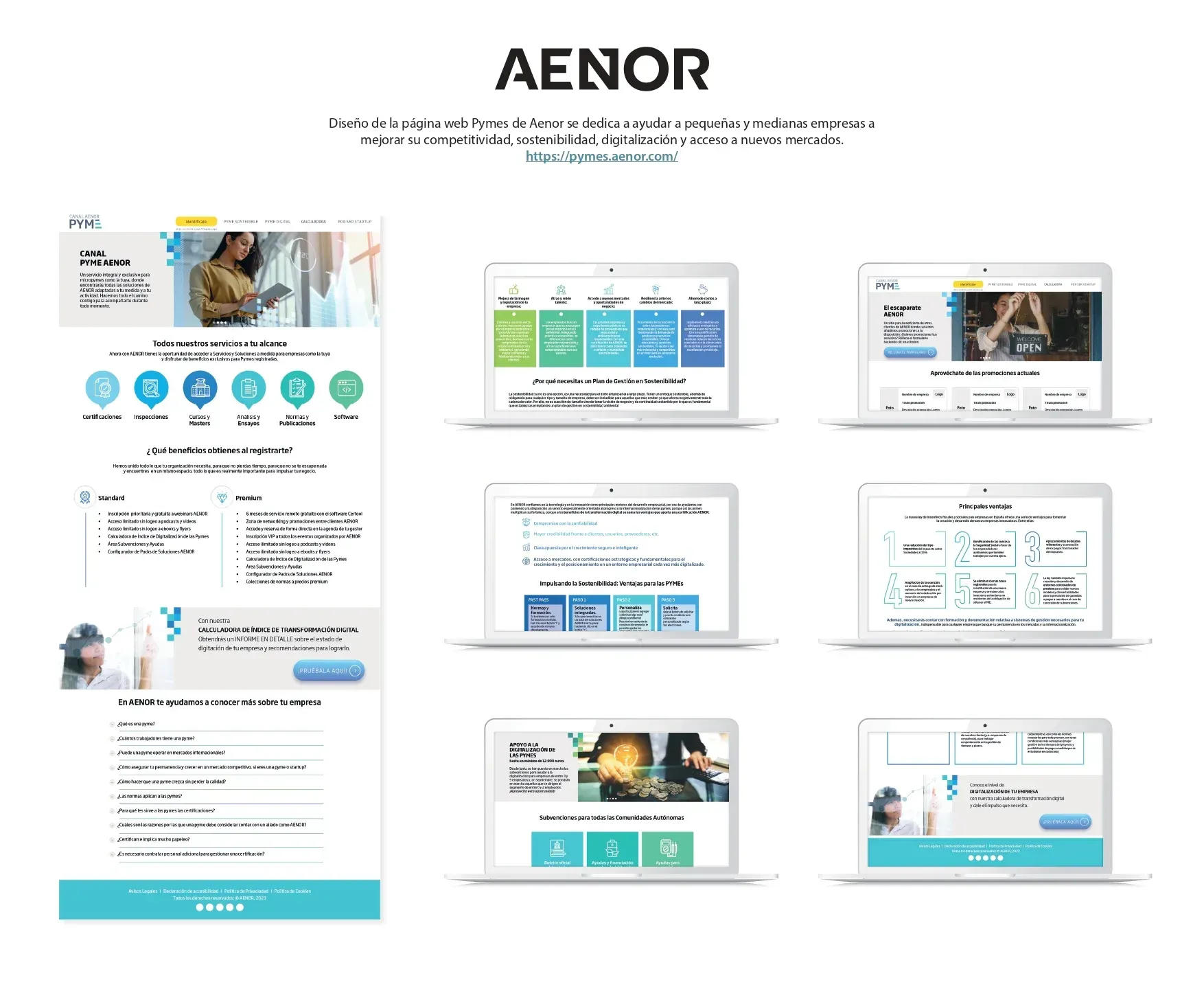 Como se visualiza la página web de AENOR