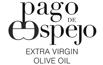 Logotipo del aceite de oliva virgen extra Pago de Espejo en texto negro sobre fondo blanco.