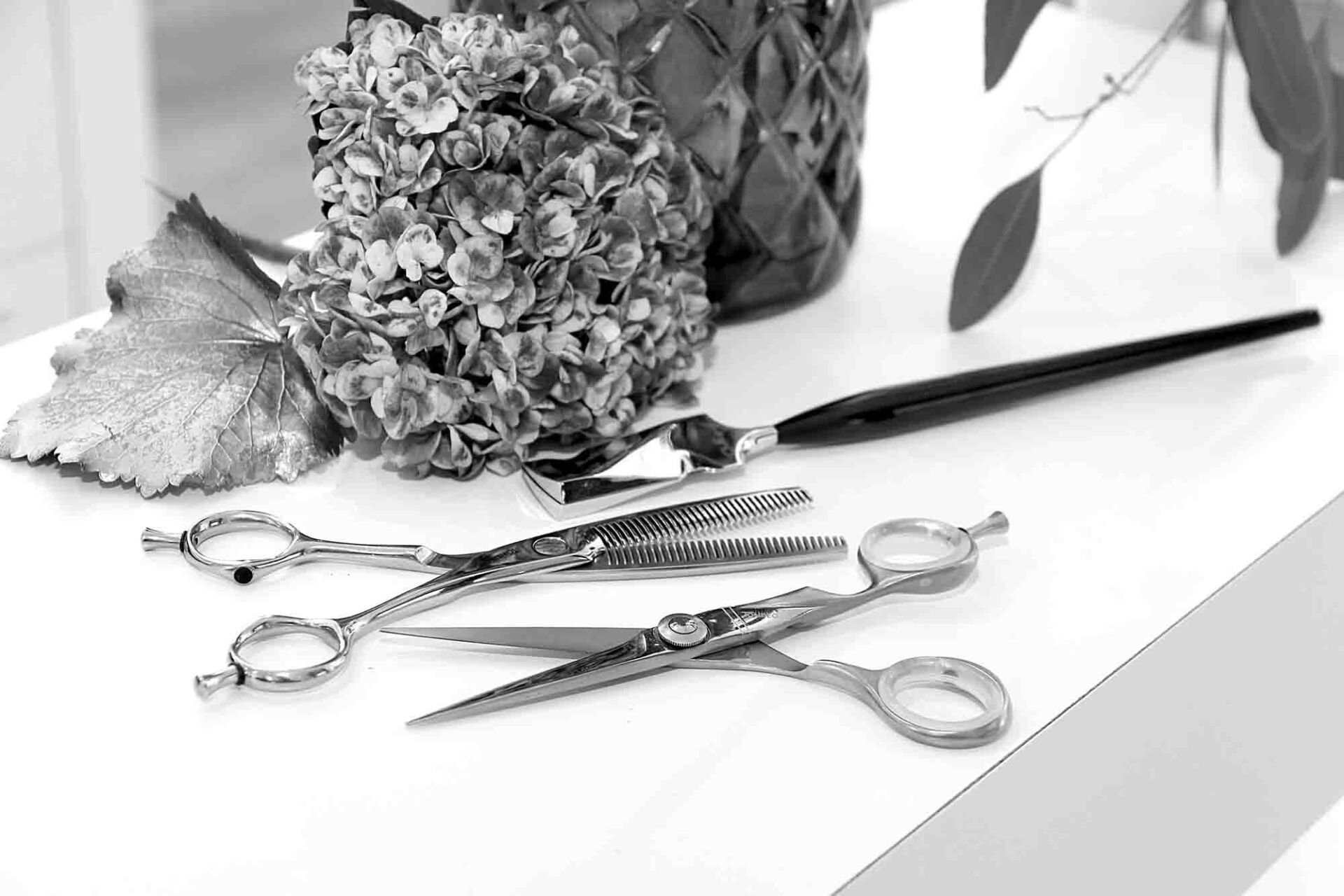 Marina Zetzmann Haarsache