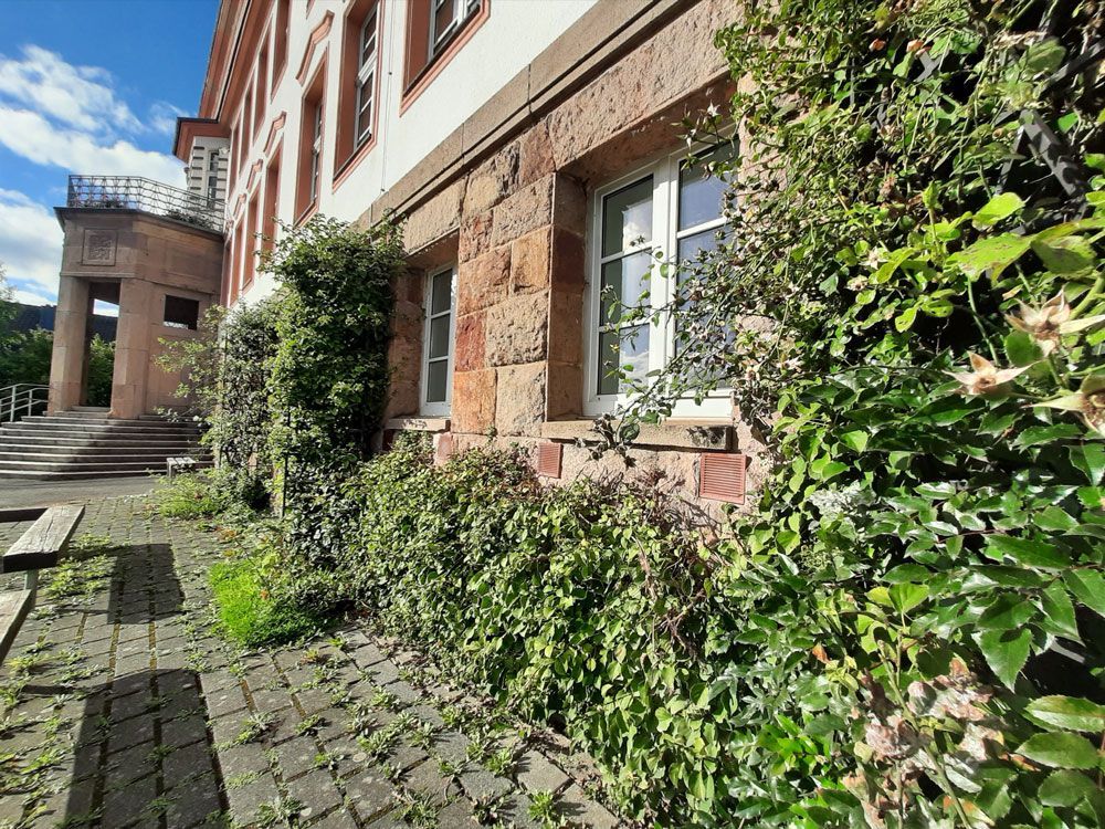 Steingebäude mit Efeu, Fenstern und Treppe an einem sonnigen Tag.