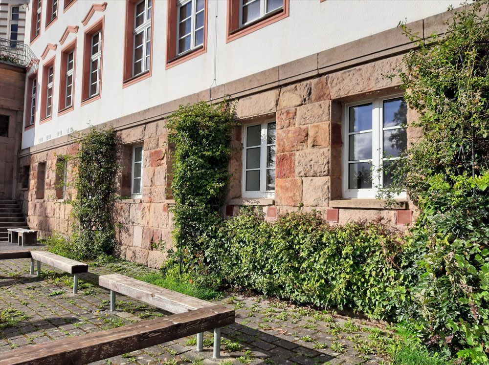 Steingebäude mit Fenstern und Efeu, davor Bänke.