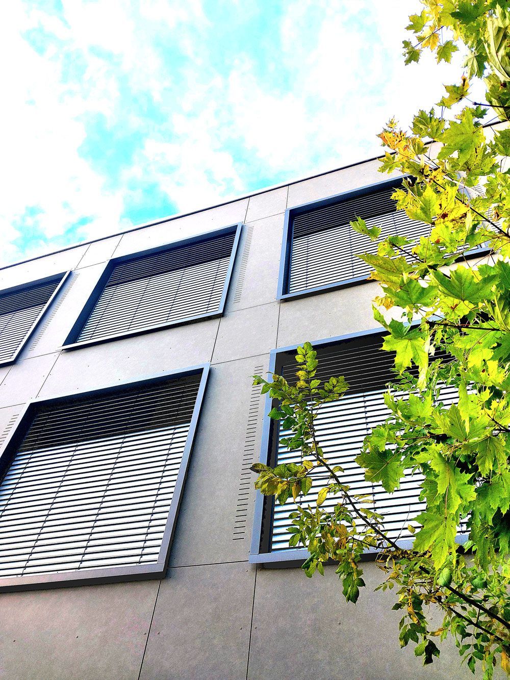 Modernes Gebäude mit horizontalen Jalousien vor den Fenstern, grüne Baumzweige im Vordergrund, blauer Himmel im Hintergrund.