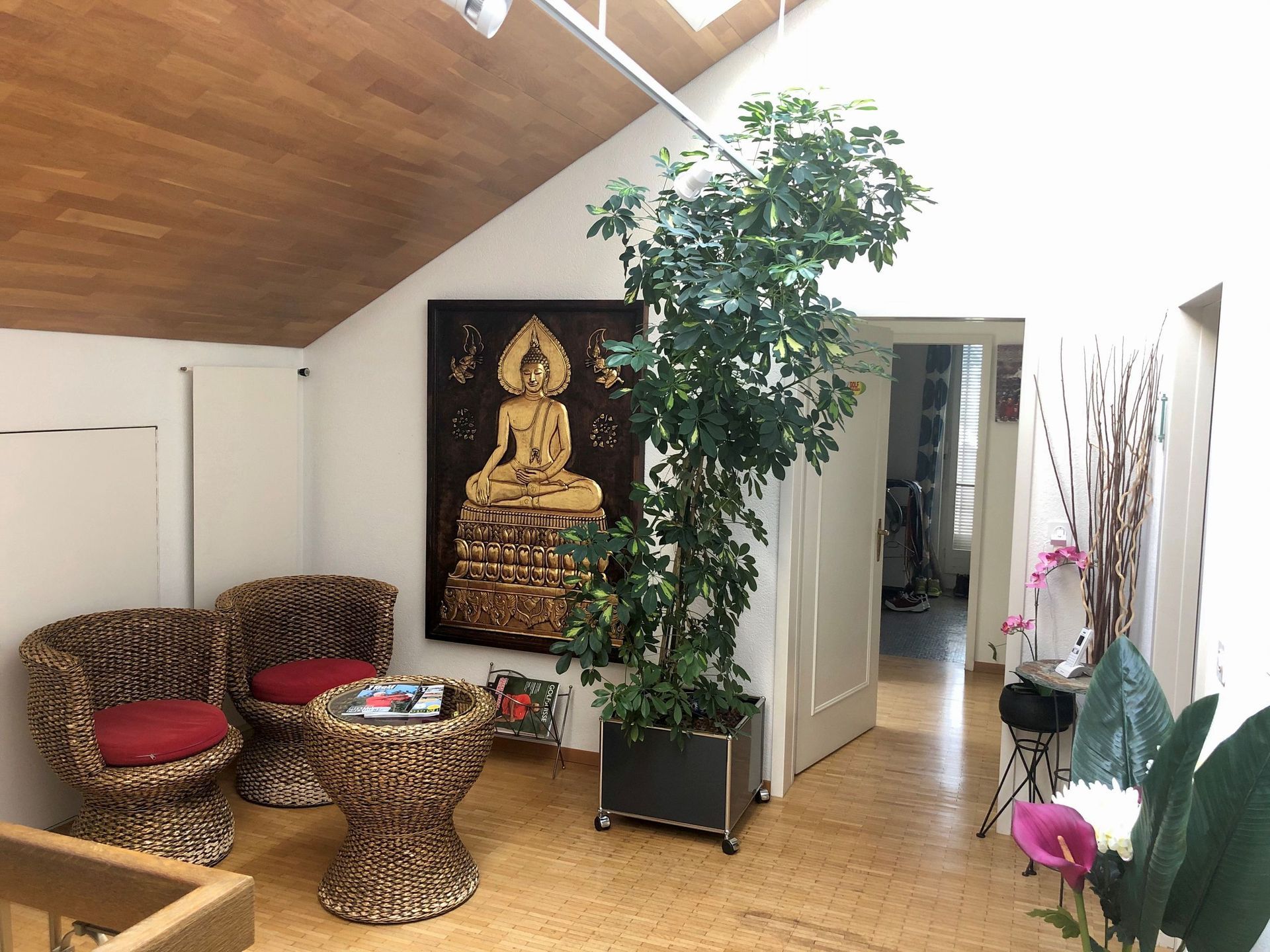 Empfang - Naturarzt und Physiotherapiepraxis Adrian Meier GmbH