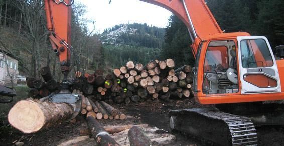 Notre grappin à bois