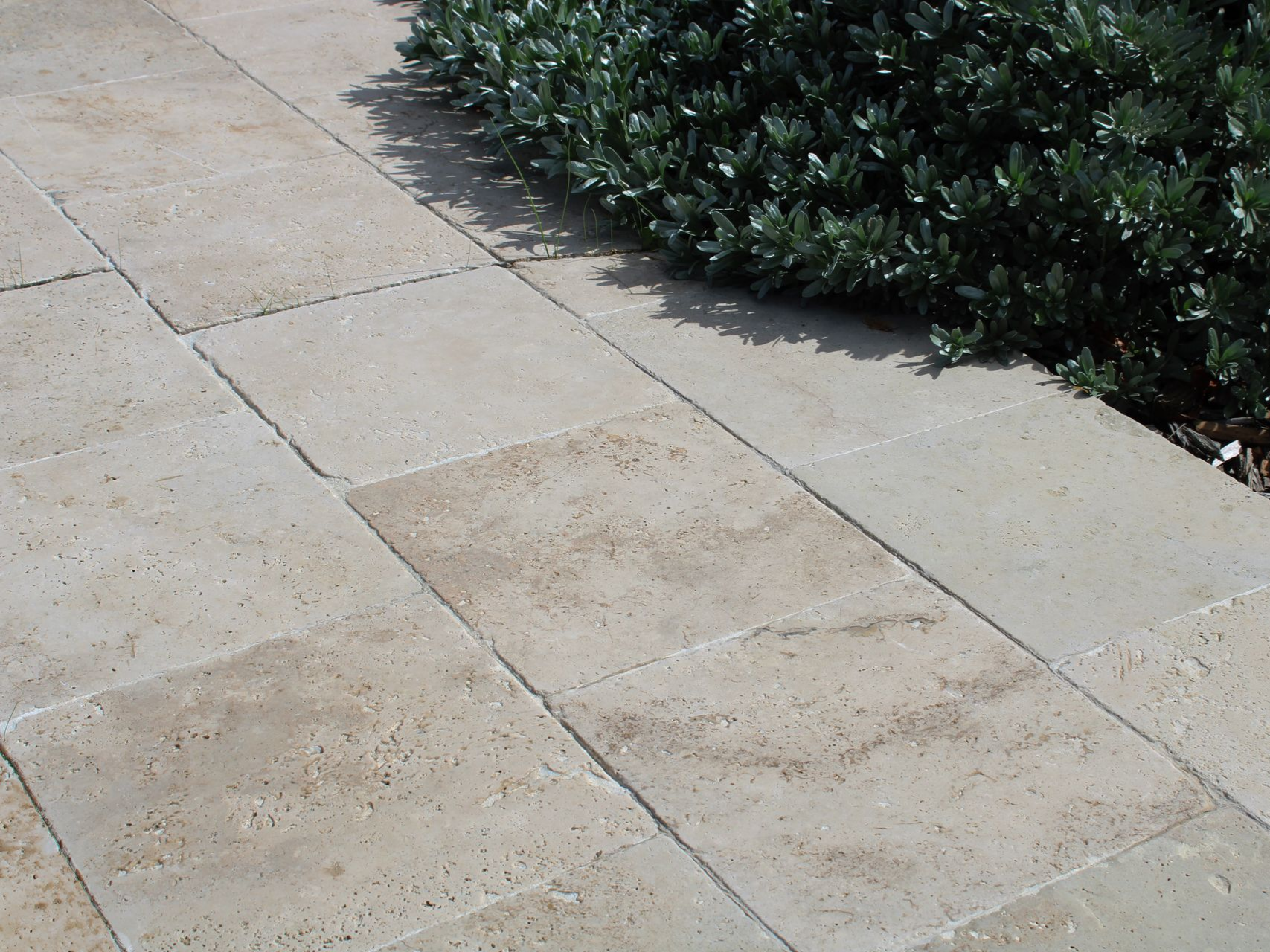 Dalles carrées beige clair jouxtant un massif d'arbustes vert foncé.