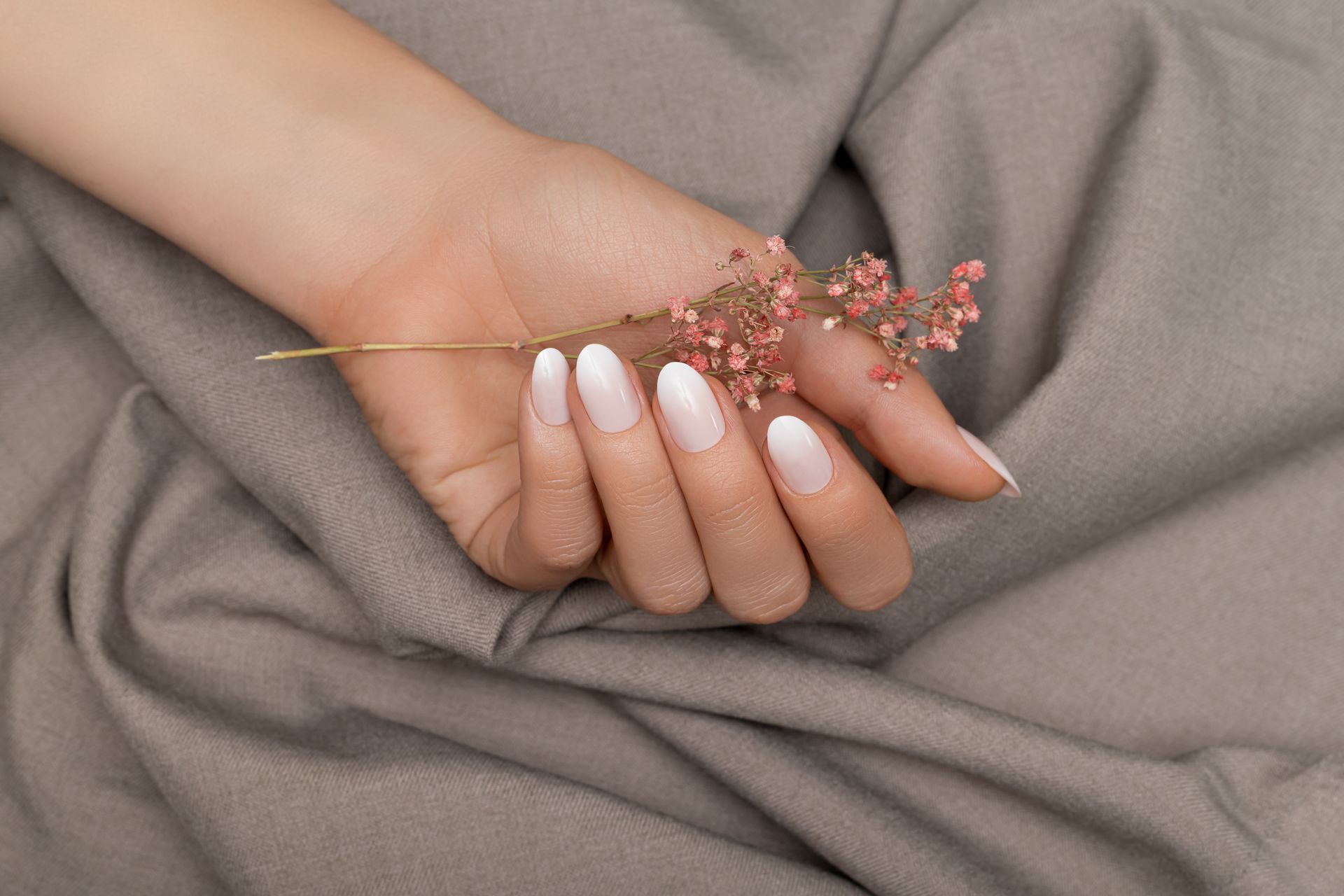Main aux ongles blancs ombrés tenant une délicate tige de fleur rose sur un tissu gris.