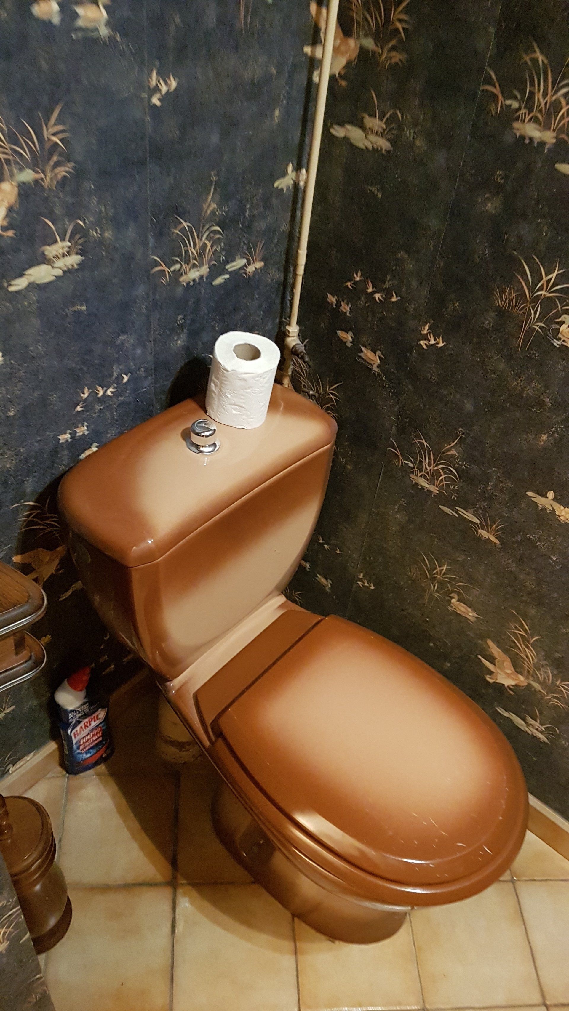 AVANT  Transformation