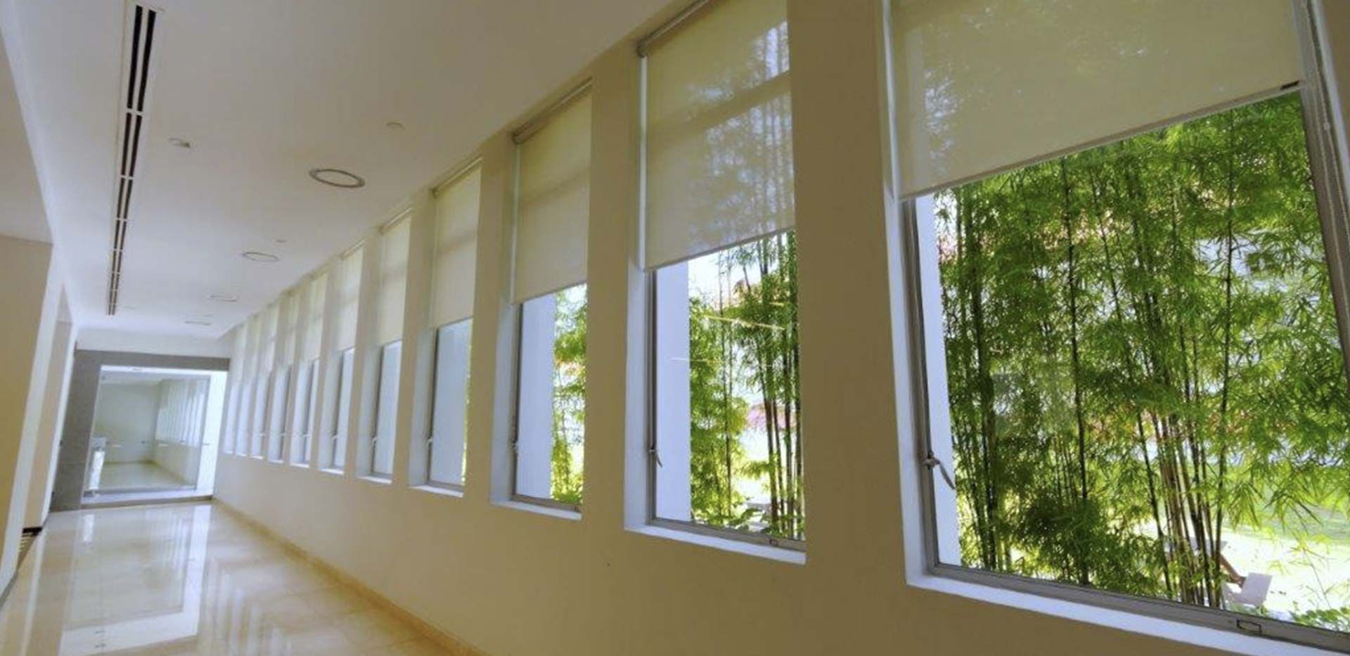 Pasillo largo y luminoso con ventanas que dan a un jardín de bambú.