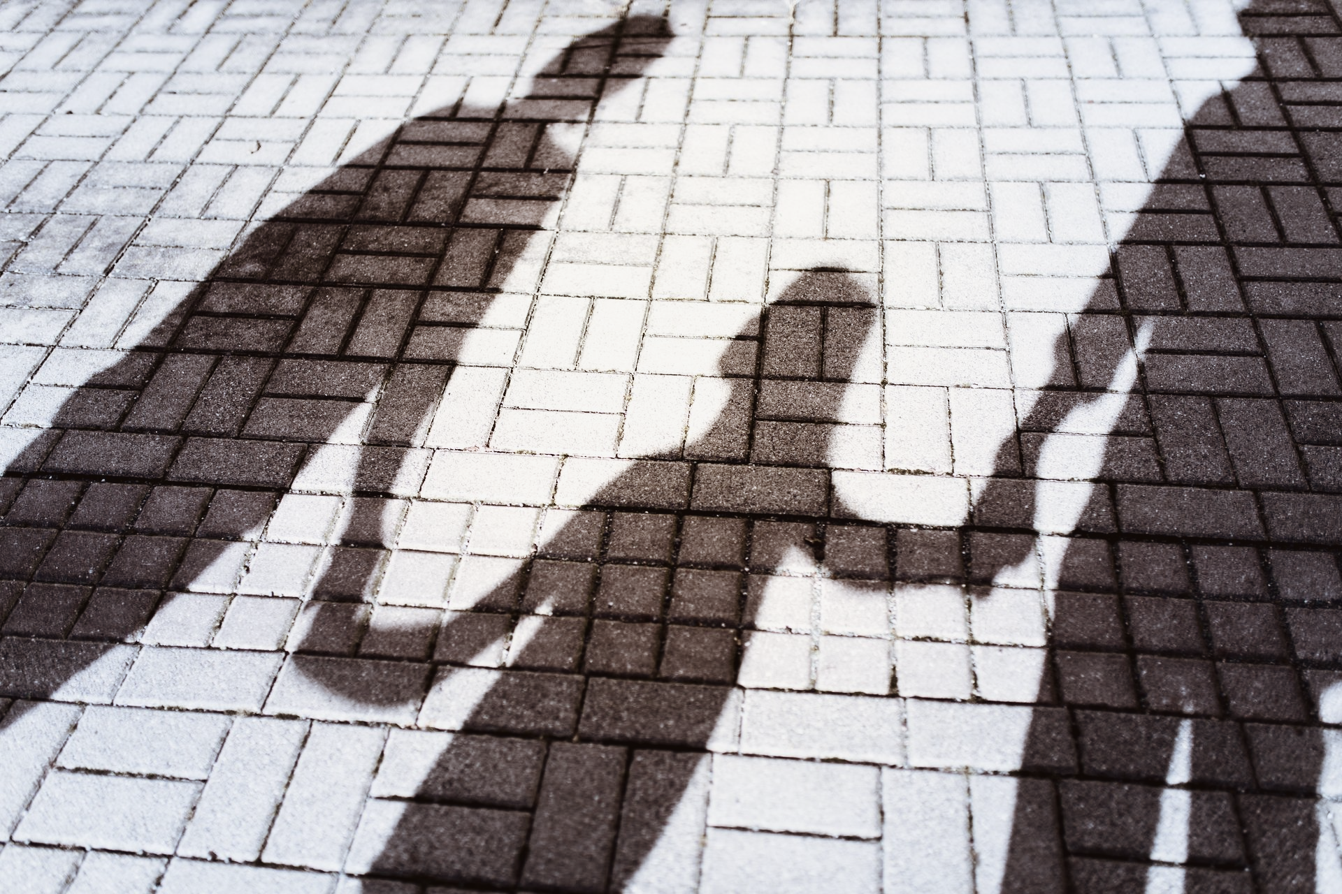 Ombres de trois personnes se tenant la main sur un chemin de briques.