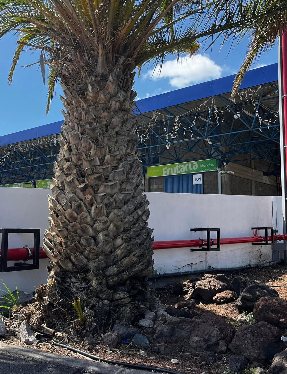 Cocina comercial con estufa de acero inoxidable, campana extractora y extintor rojo en la pared.