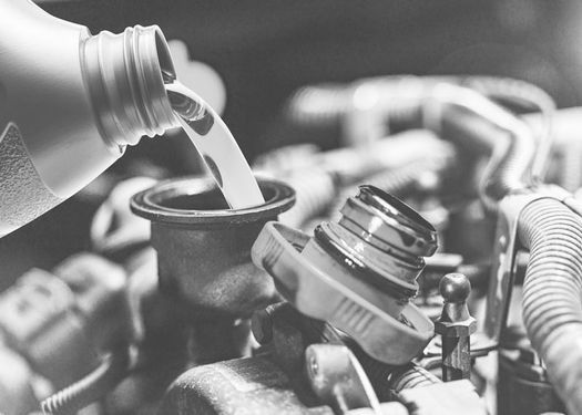 Una persona está vertiendo aceite en el motor de un automóvil.