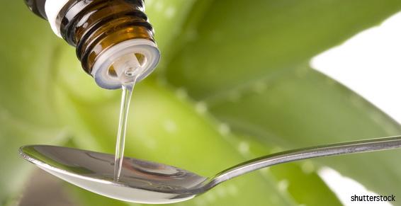 phyto_bio_plantes_huile_essentielle_SH_121003.JPG