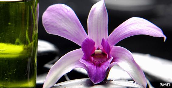 Relaxation_bien_être_huiles_essentielles_orchidée_extrait_SH_130213.jpg