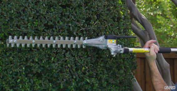 Taille et élagage à Toulouse