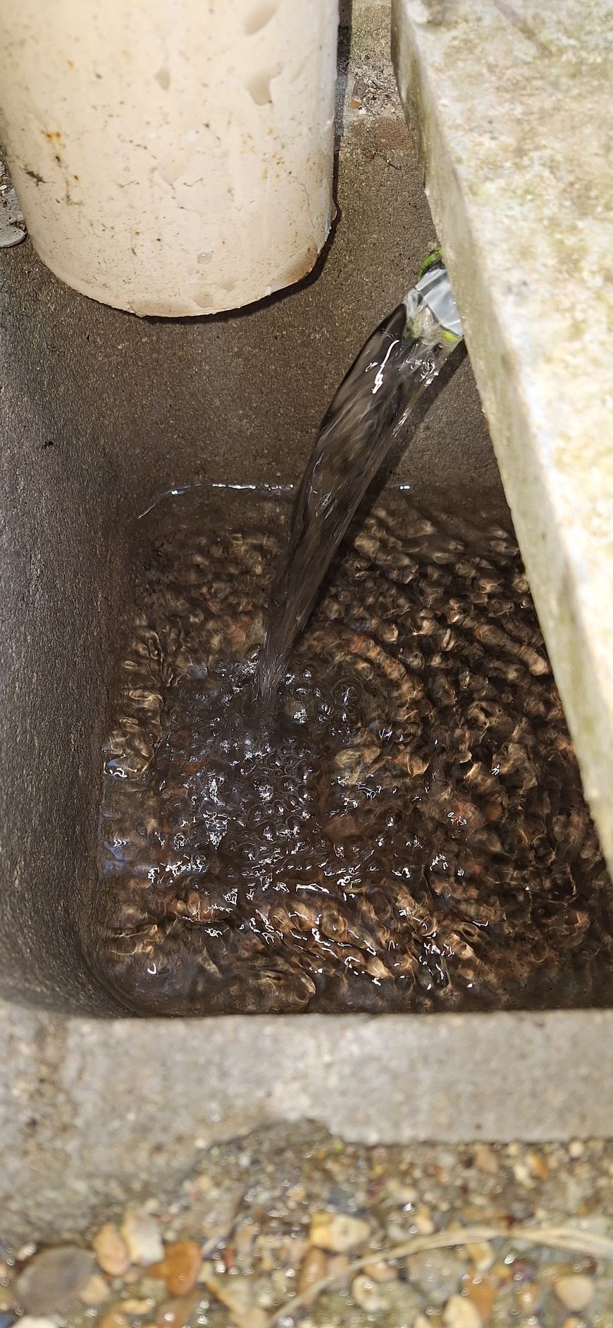 Eau potable du robinet