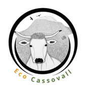 Logotipo