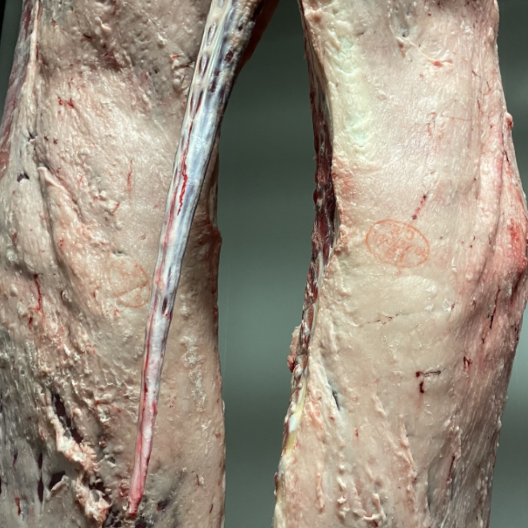 Dos grandes cortes de carne con marcas ovaladas, que muestran fibras musculares y un tendón visible.