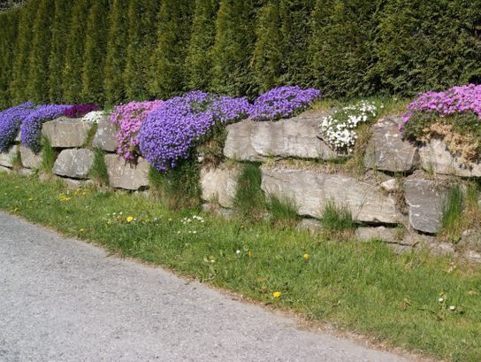 Mauer - Eckardt Natursteine