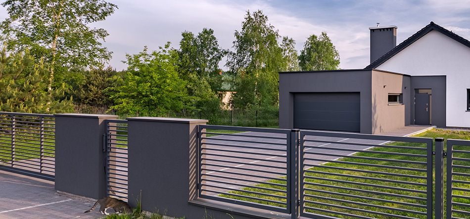 Chat fouillant dans un buisson devant une clôture de maison