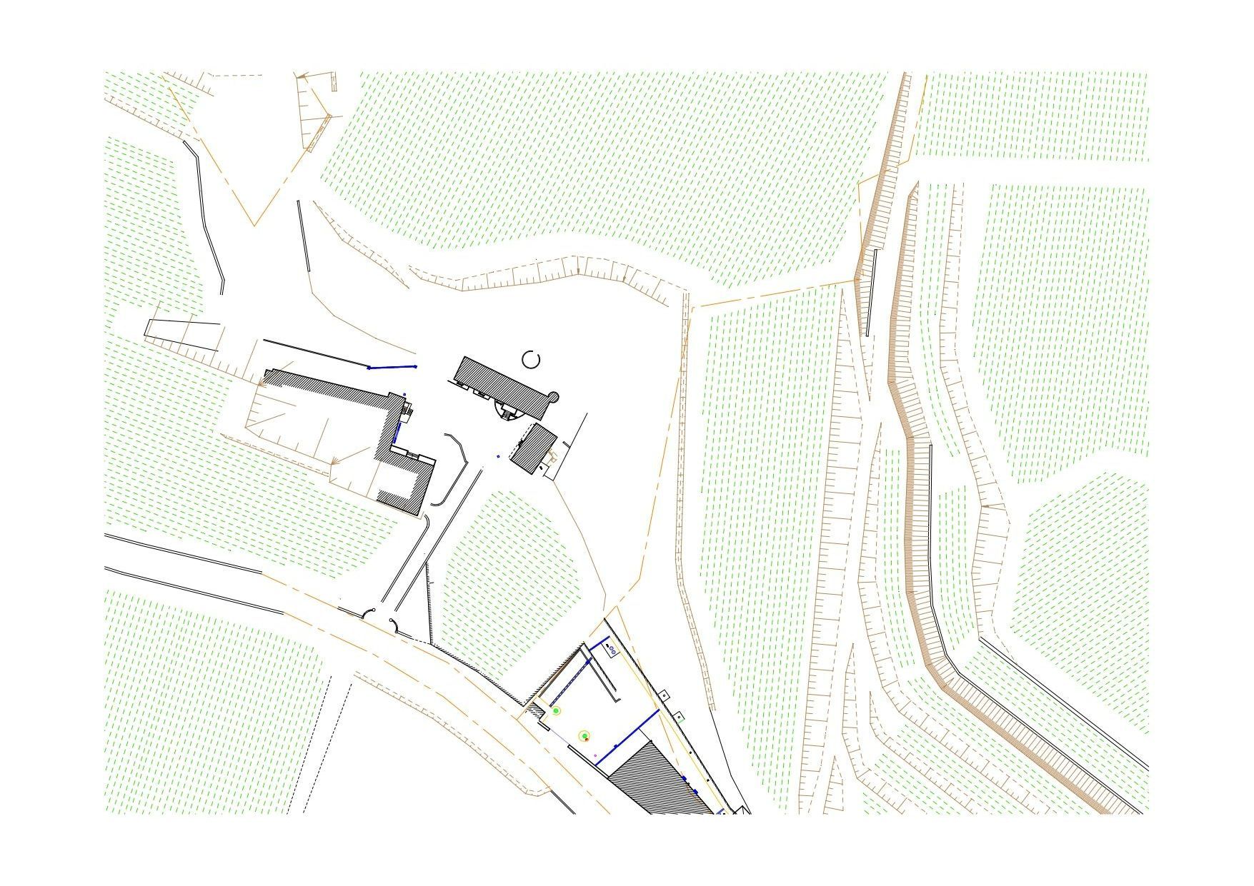 Exemple de plan viticole
