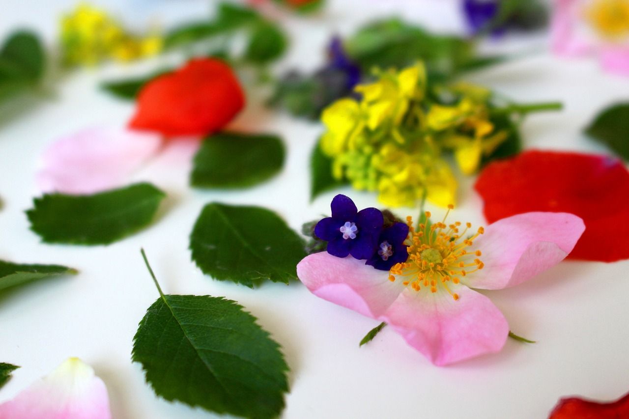 Flower