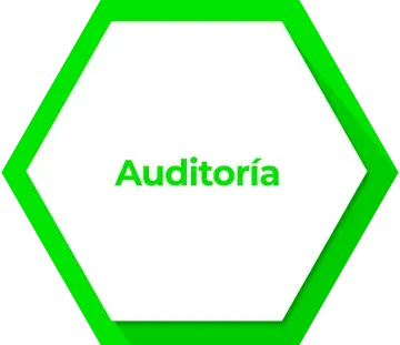 Un hexágono verde con la palabra auditoria escrita dentro de él.