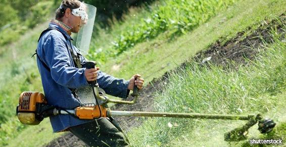 Paysagiste Dépretz Gérard à Vair-sur-Loire