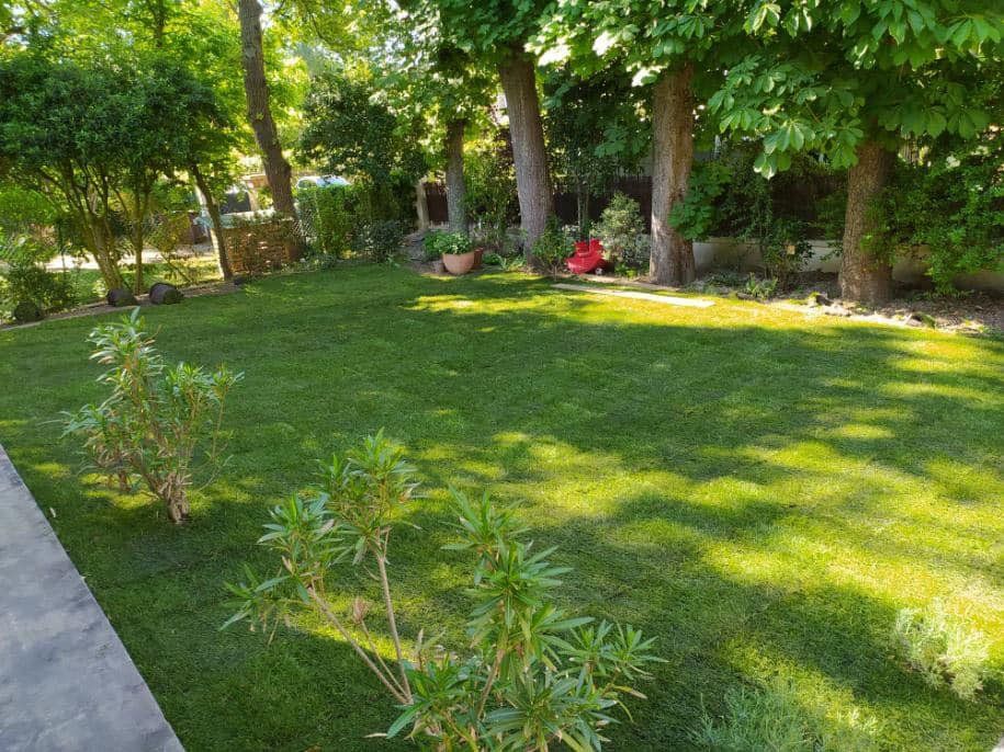 Terrain d'un petit jardin couvert d'herbe